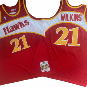 Jersey Anthony Wilkins #21 Atlanta Hawks
